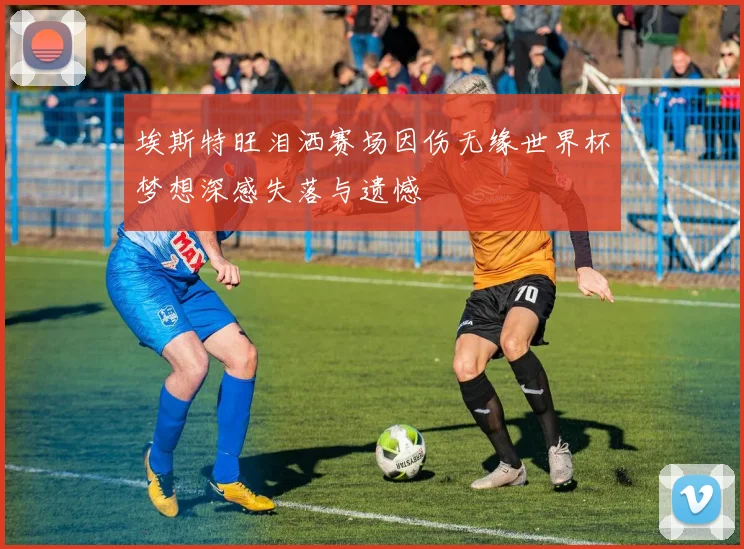 埃斯特旺泪洒赛场因伤无缘世界杯梦想深感失落与遗憾