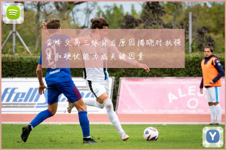 黄蜂交易三球背后原因揭晓对抗强度和硬仗能力成关键因素